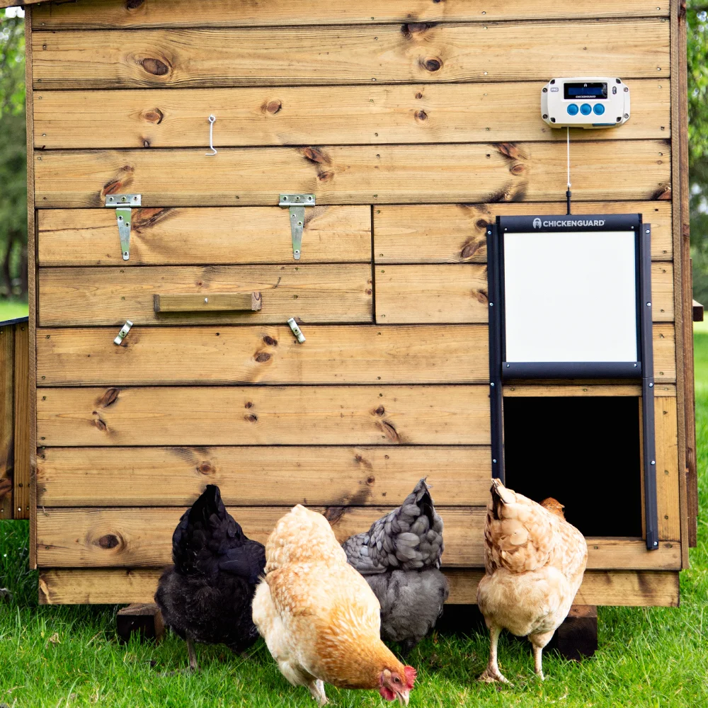ChickenGuard Ouvre-Porte Automatique Pour Poulailler Avec Minuterie Et Écran LCD – Protection Anti-Renard Ultra Fiable